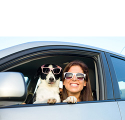 Woman and dog in car on summer travel.